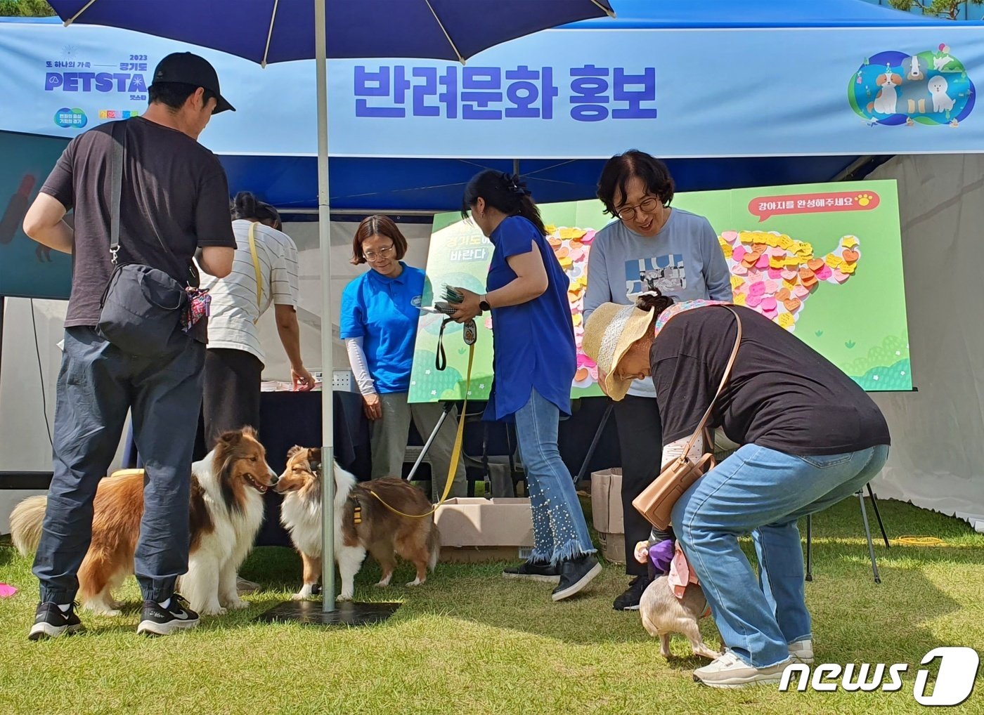 경기도와 경기문화재단은 4일 옛 경기도청 팔달청사에서 &#39;또 하나의 가족, 2023 경기도 펫스타&#40;PETSTA&#41;&#39;를 개최했다.ⓒ 뉴스1 최서윤 기자