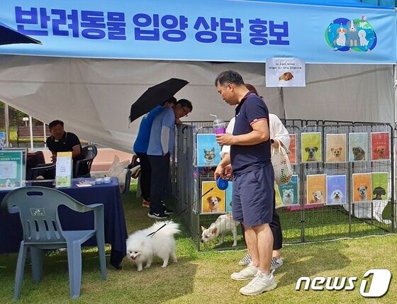 경기도와 경기문화재단은 4일 옛 경기도청 팔달청사에서 '또 하나의 가족, 2023 경기도 펫스타(PETSTA)'를 개최했다.© 뉴스1 최서윤 기자