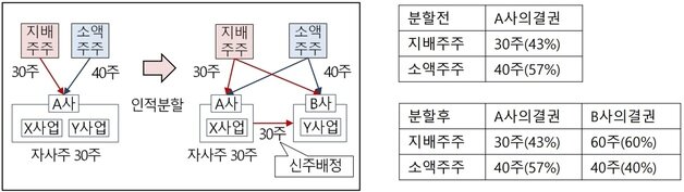 본문 이미지 - 인적분할 시 자사주를 활용해 편법적으로 지배력을 강화하는 사례(금융위원회 제공) ⓒ News1 강은성 기자