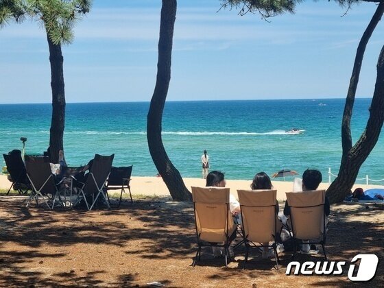 본문 이미지 - 징검다리 연휴 둘째날인 지난 4일 30도 이상의 낮 기온을 보인 강원 강릉 송정해변을 찾은 관광객들이 솔밭 그늘에서 무더위를 날리고 있다. ⓒ News1 윤왕근 기자