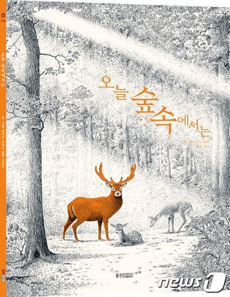 본문 이미지 - 오늘 숲속에서는