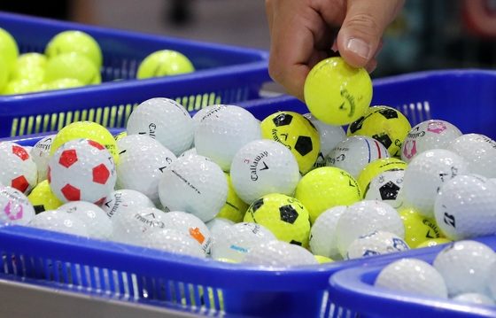 나무 맞고 튄 골프공에 일행 부상…법원 "의도한 것 아냐" 무죄