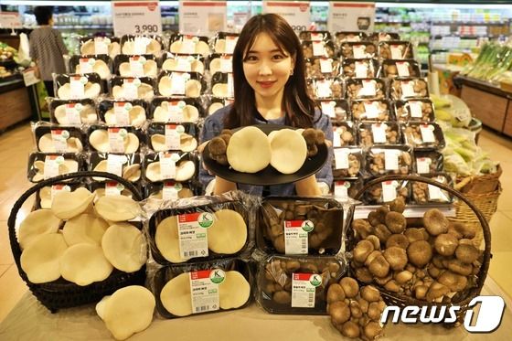 롯데마트 서울역점에서 크리미버섯과 탐송이버섯을 소개하는 모습(롯데쇼핑 제공)