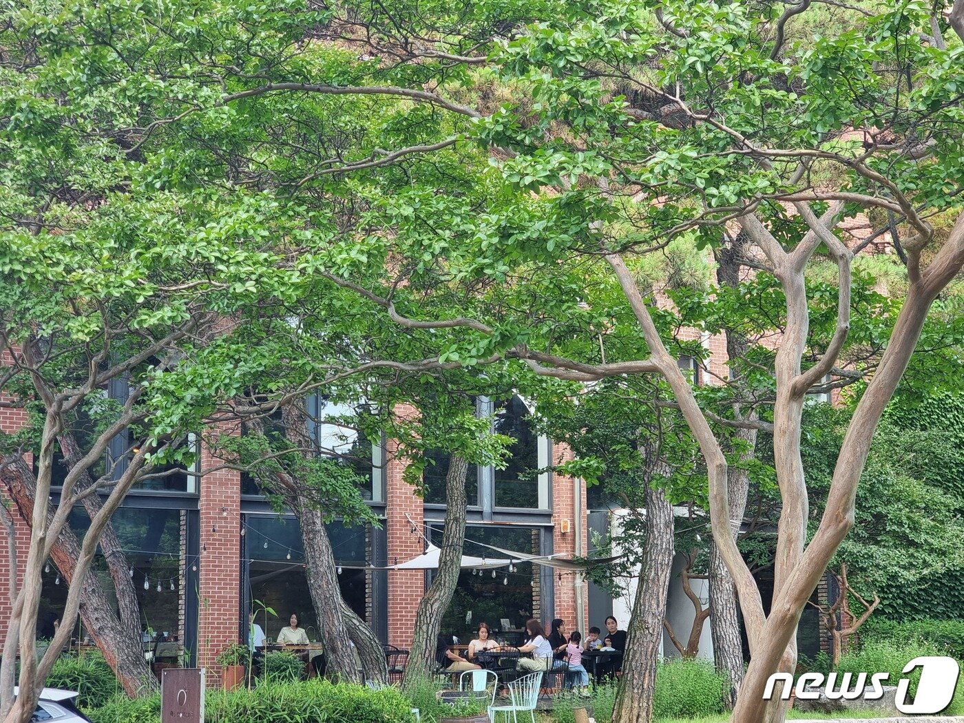 본문 이미지 - 1일 오후 전북 전주시 덕진구의 한 대형 카페에서 가족단위 시민들이 여유로운 한때를 보내고있다.2023.7.1./뉴스1