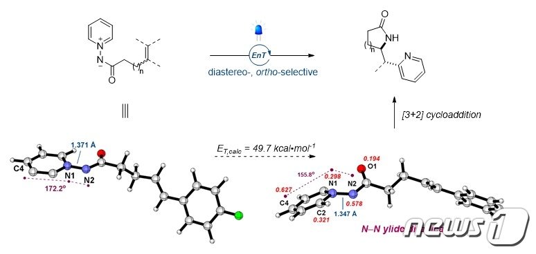 본문 이미지 - 락탐과 피리딘을 동시에 가진 화합물 합성.(IBS 제공)/뉴스1