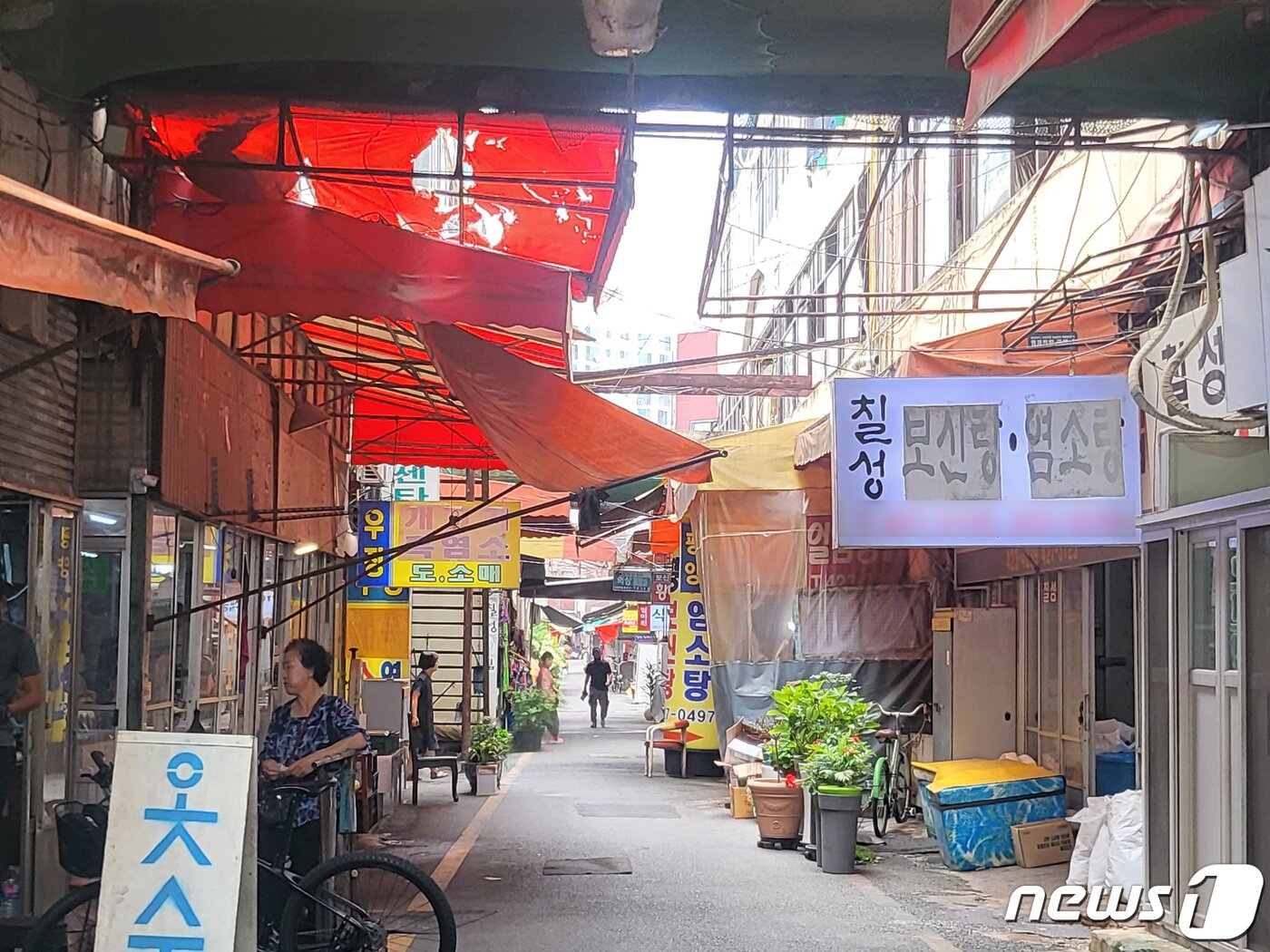 본문 이미지 - 10일 대구 북구 칠성개시장 골목 입구. 2023.7.10/뉴스1 ⓒ News1 이성덕 기자