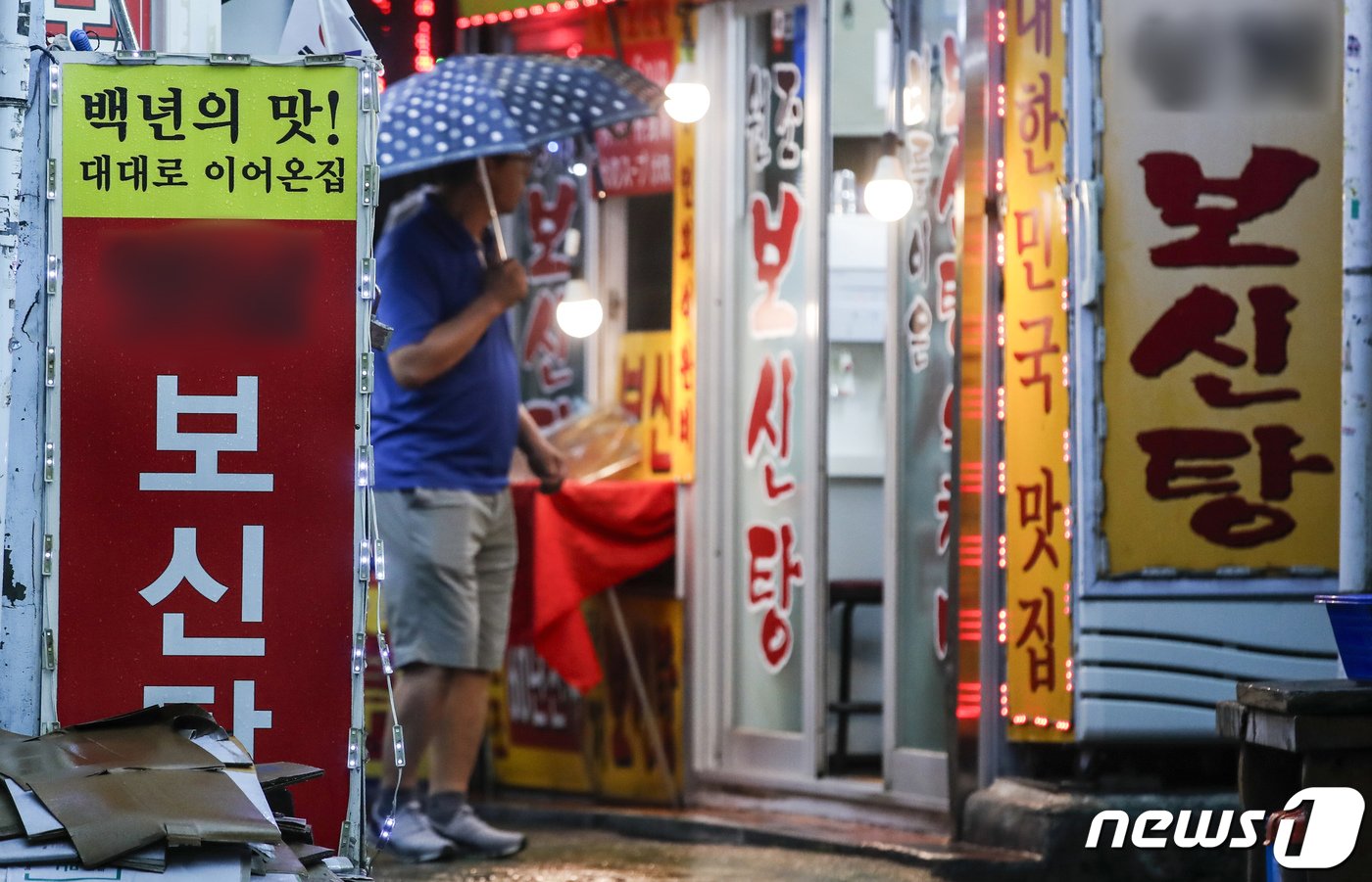 본문 이미지 - 초복을 맞아 '개고기 식용금지'를 두고 찬반 논쟁이 계속되고 있다. 사진은 초복인 11일 서울 시내 보신탕집의 모습. 2023.7.11/뉴스1 ⓒ News1 김도우 기자