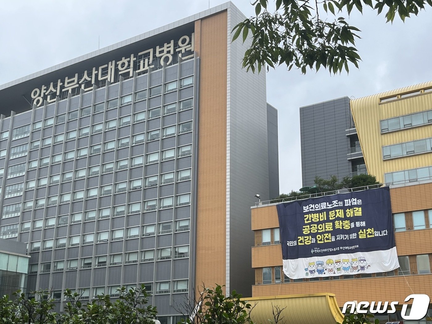 본문 이미지 - 양산부산대병원   2023.7.11 ⓒ News1 송보현 기자
