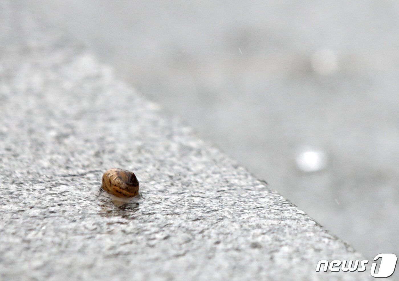 본문 이미지 - (사진은 기사 내용과 무관함) / 뉴스1 ⓒ News1