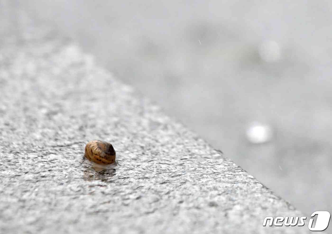 (사진은 기사 내용과 무관함) / 뉴스1 © News1