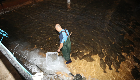 제주 2월 수출액 4172만 달러 '두배 껑충'…반도체 견인