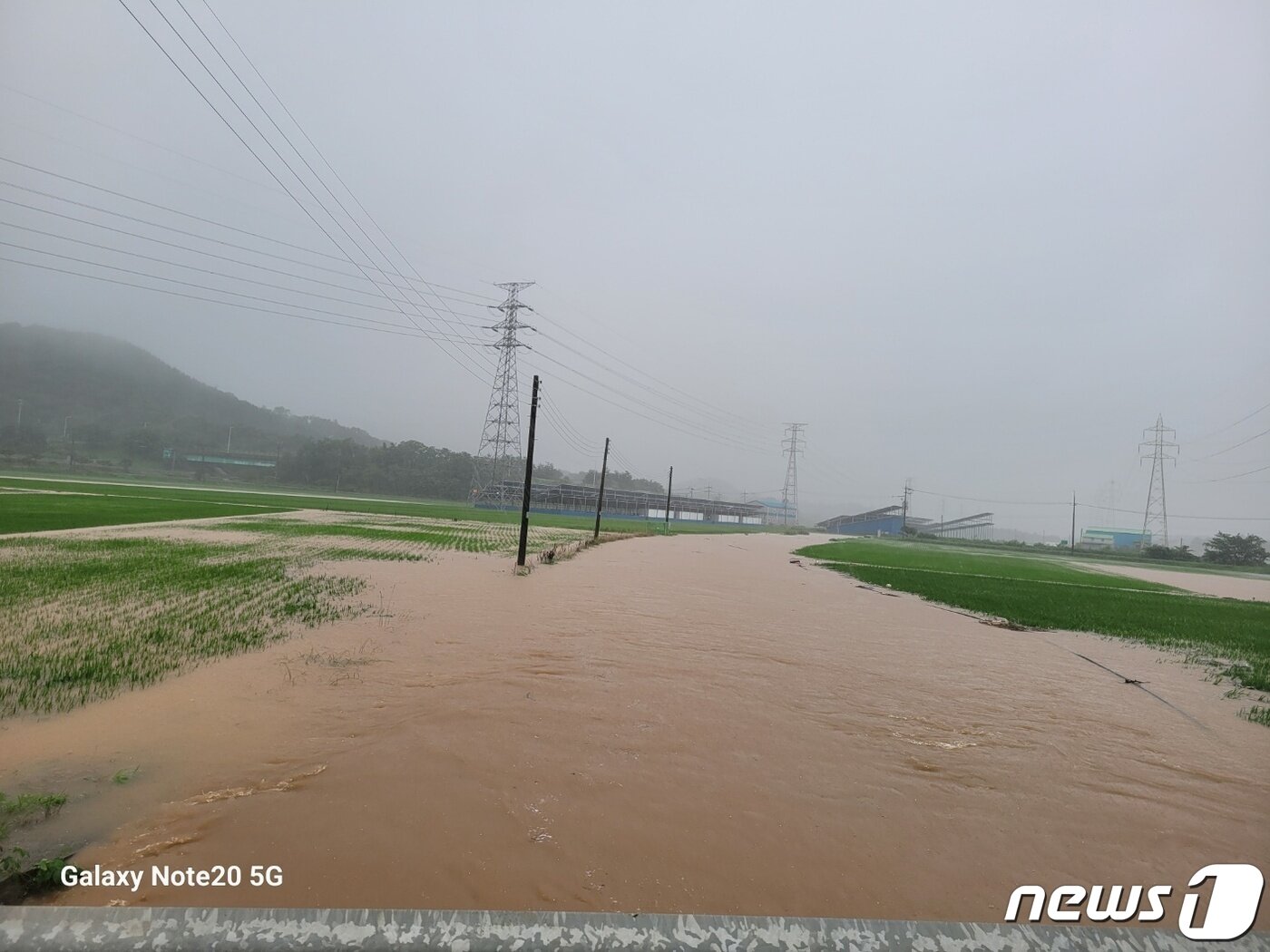 본문 이미지 - 전북 군산에 내린 집중호우로 성산면 흔옥천이 범람해 농경지가 침수됐다.(군산시 제공) 2023.7.14/뉴스1