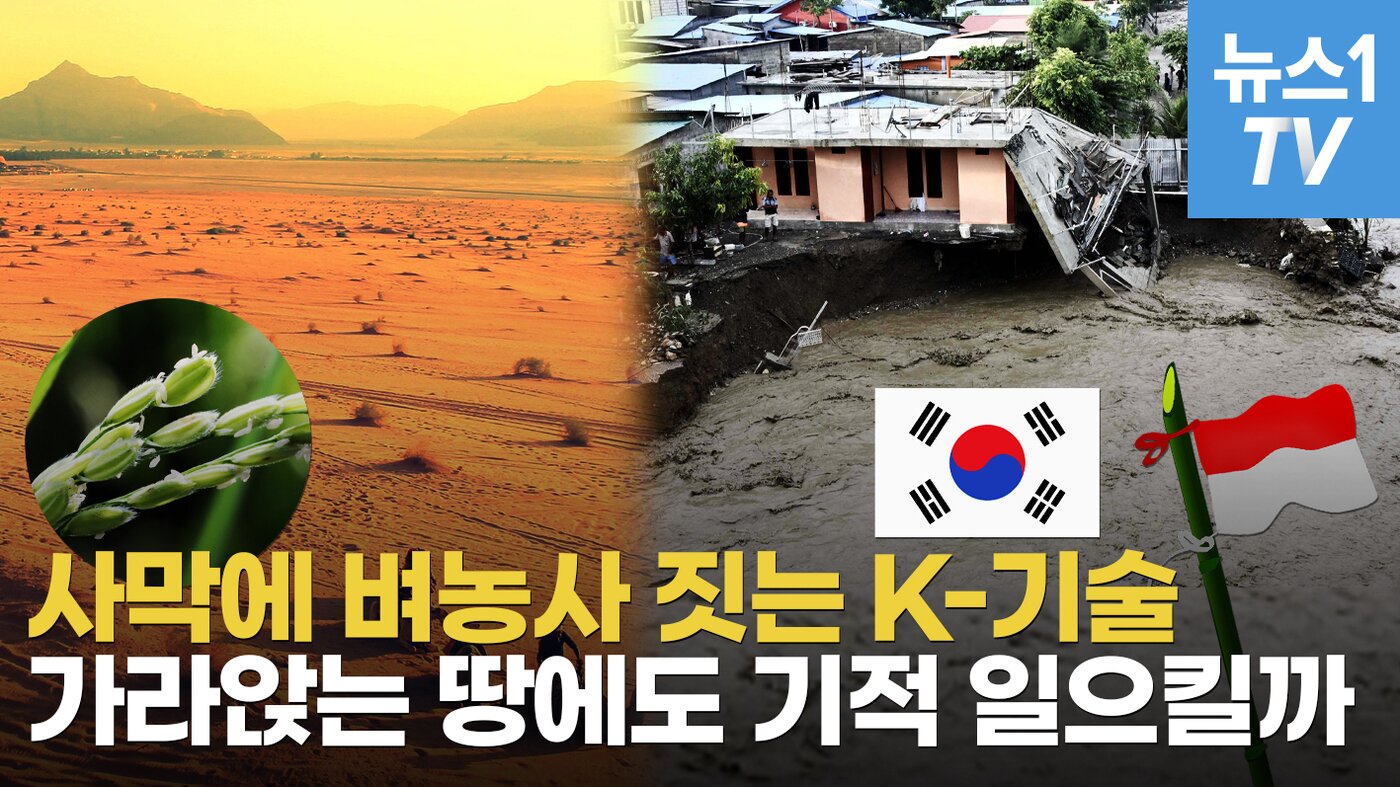 본문 이미지 -  