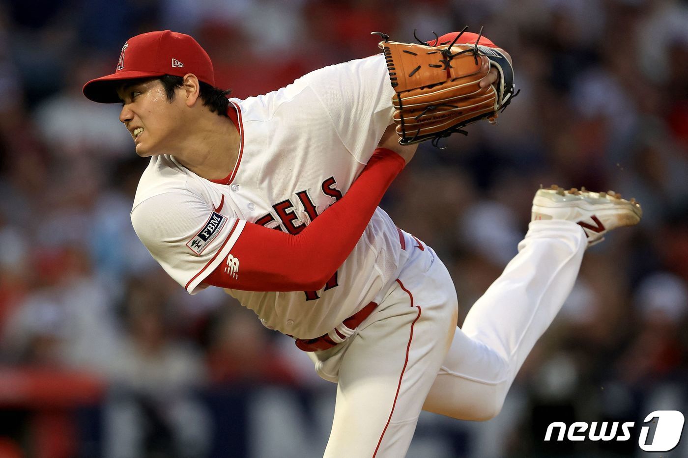 본문 이미지 - 오타니 쇼헤이. ⓒ AFP=뉴스1
