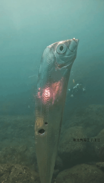 본문 이미지 - 왕청루(chengruwang) 인스타그램 갈무리