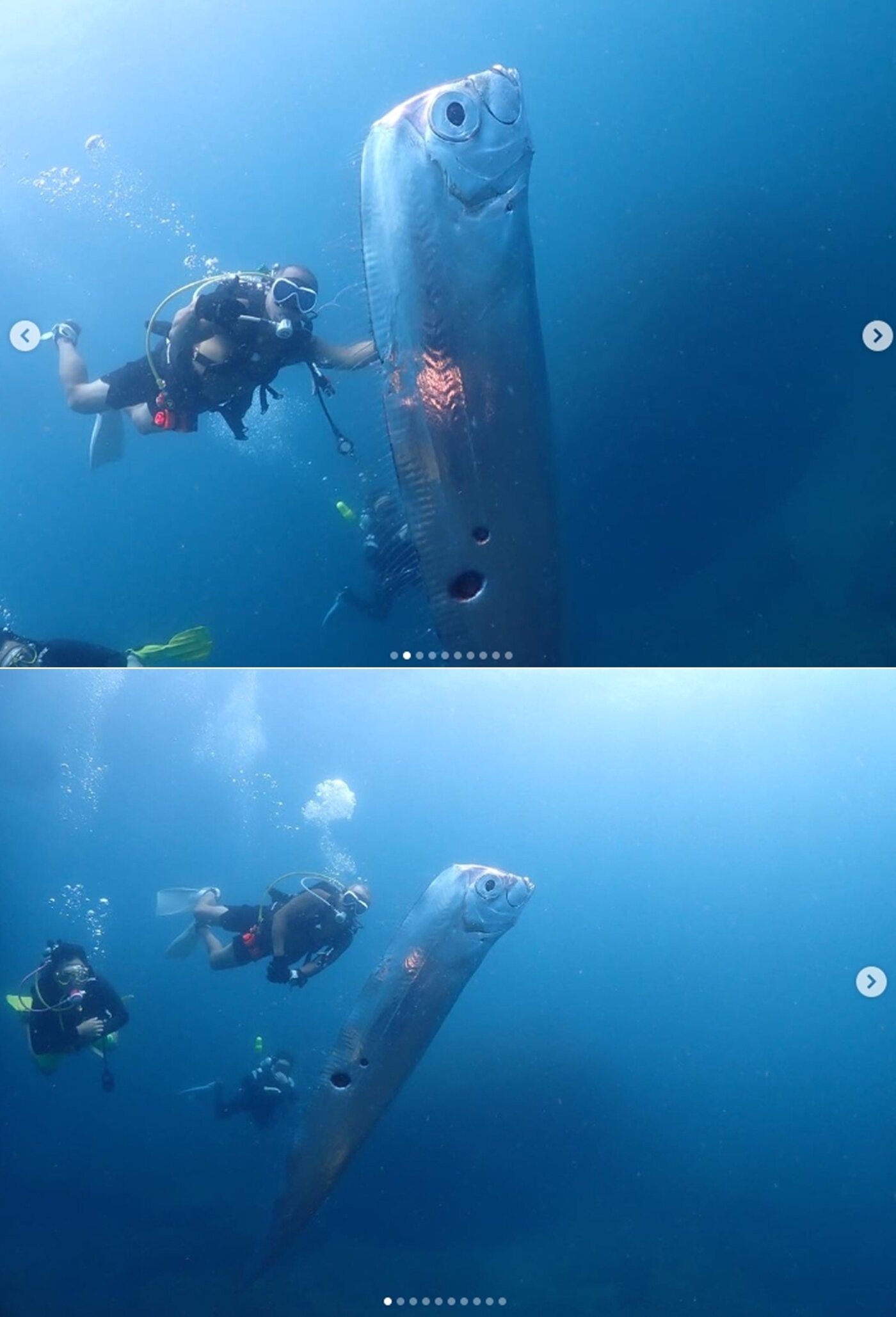 본문 이미지 - 왕청루(chengruwang) 인스타그램 갈무리