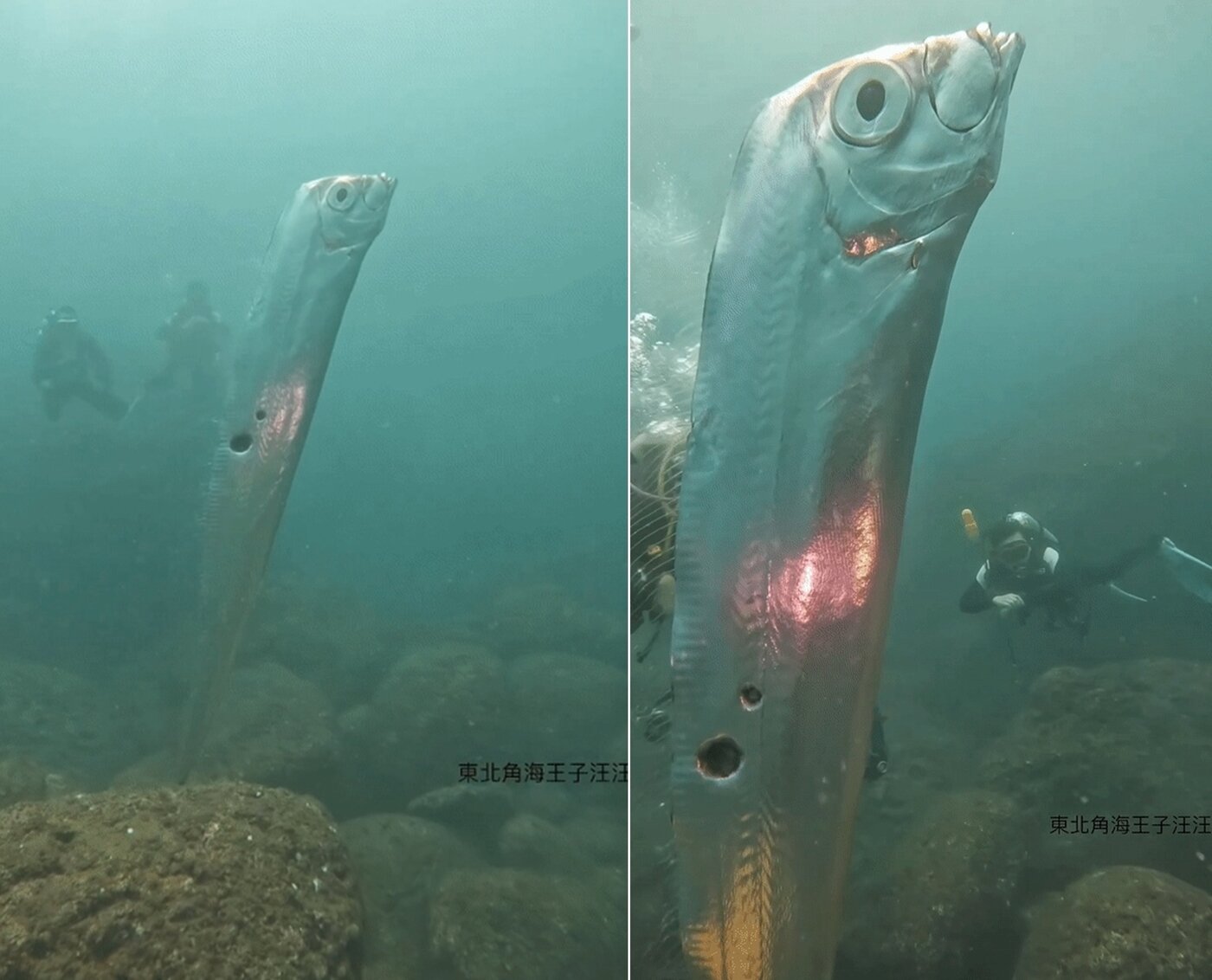 본문 이미지 - 왕청루(chengruwang) 인스타그램 갈무리