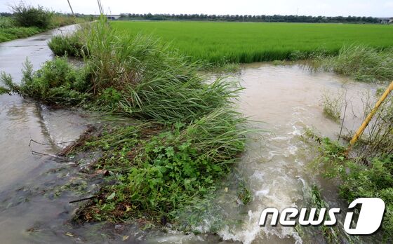 16일 오후 충남 논산시 성동면 원봉리가 논산천 제방 유실로 침수된 가운데 농경지로 하천물이 끊임 없이 밀려들어오고 있다. 논산시는 지난 13일부터 누적 강수량 357mm 이상의 집중호우가 쏟아지면서 주택과 농경지 곳곳에서 침수 피해가 발생했다. 2023.7.16/뉴스1 © News1 장수영 기자