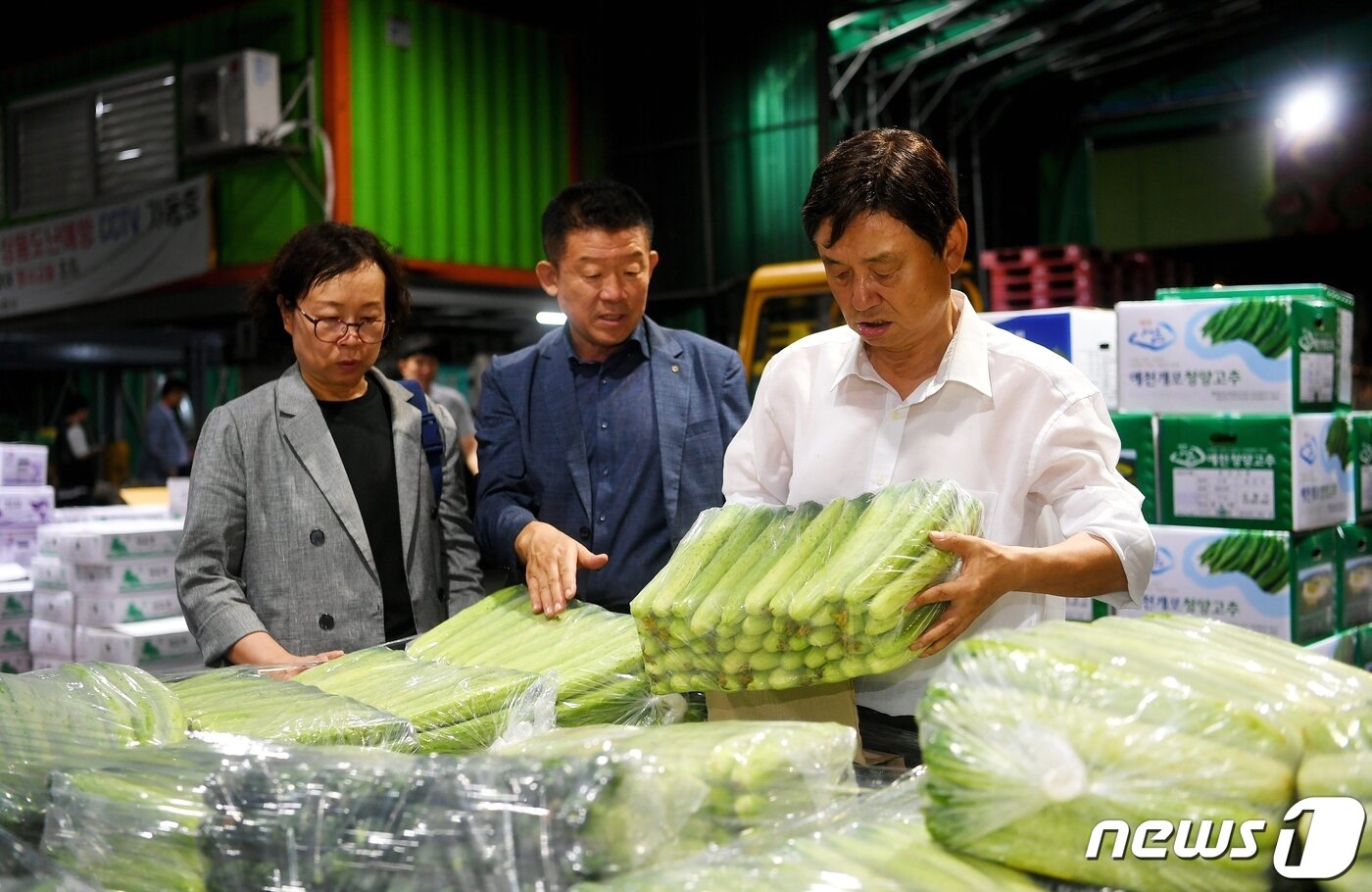 본문 이미지 - 최문순 군수가 지난 13일 서울 가락동 농산물 도매시장을 찾아 시장동향을 점검하고 있다.(화천군 제공오이