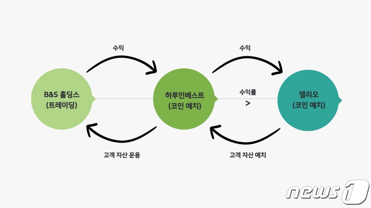 B&S홀딩스와 하루인베스트, 델리오 관계도.