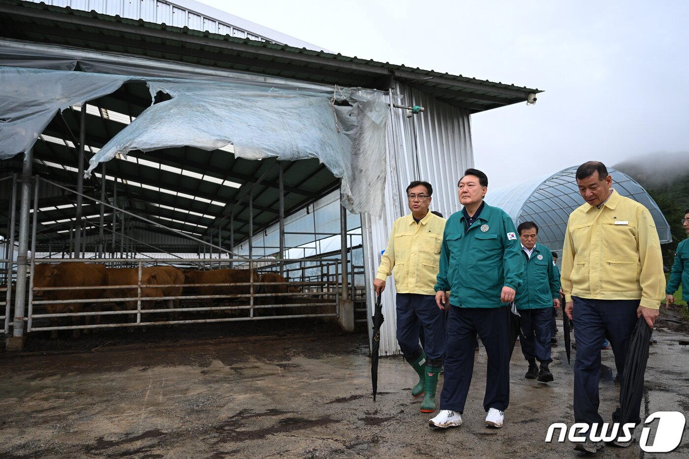 본문 이미지 - 윤석열 대통령이 18일 오후 집중호우 피해를 입은 충남 공주 탄천면 한우 축산농가를 방문하고 있다. (대통령실 제공) 2023.7.18/뉴스1 ⓒ News1 오대일 기자