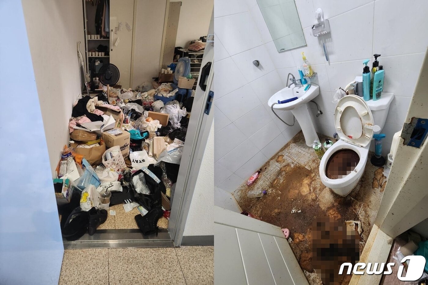 본문 이미지 - ('보배드림' 갈무리)