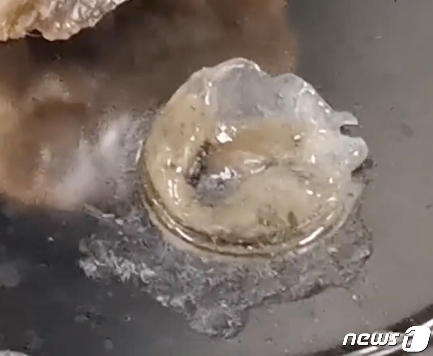 본문 이미지 - (웨이보 갈무리)