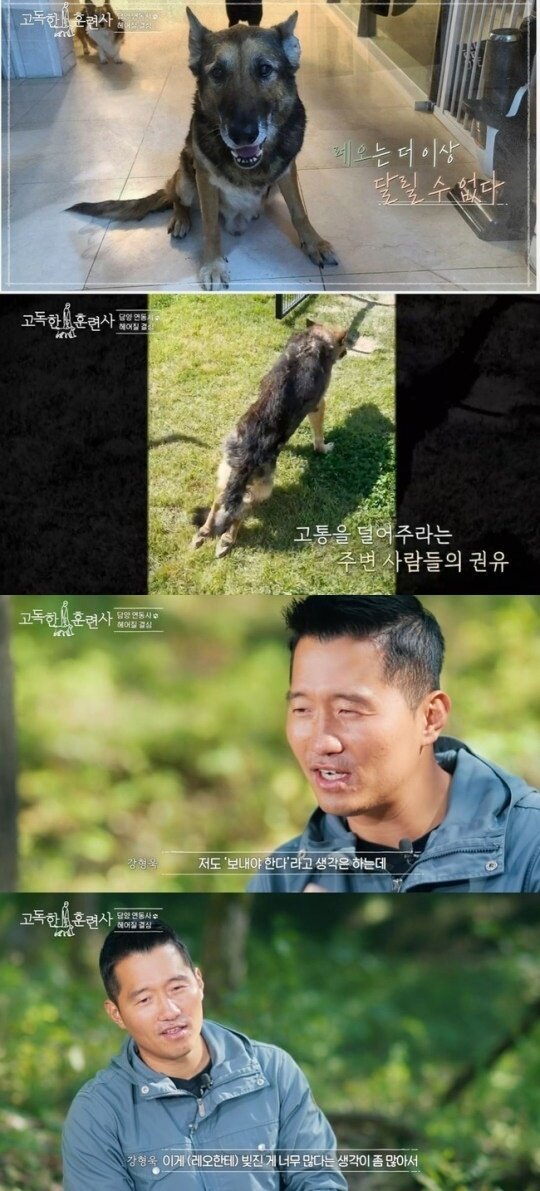 본문 이미지 - (tvN STORY '고독한 훈련사' 갈무리)