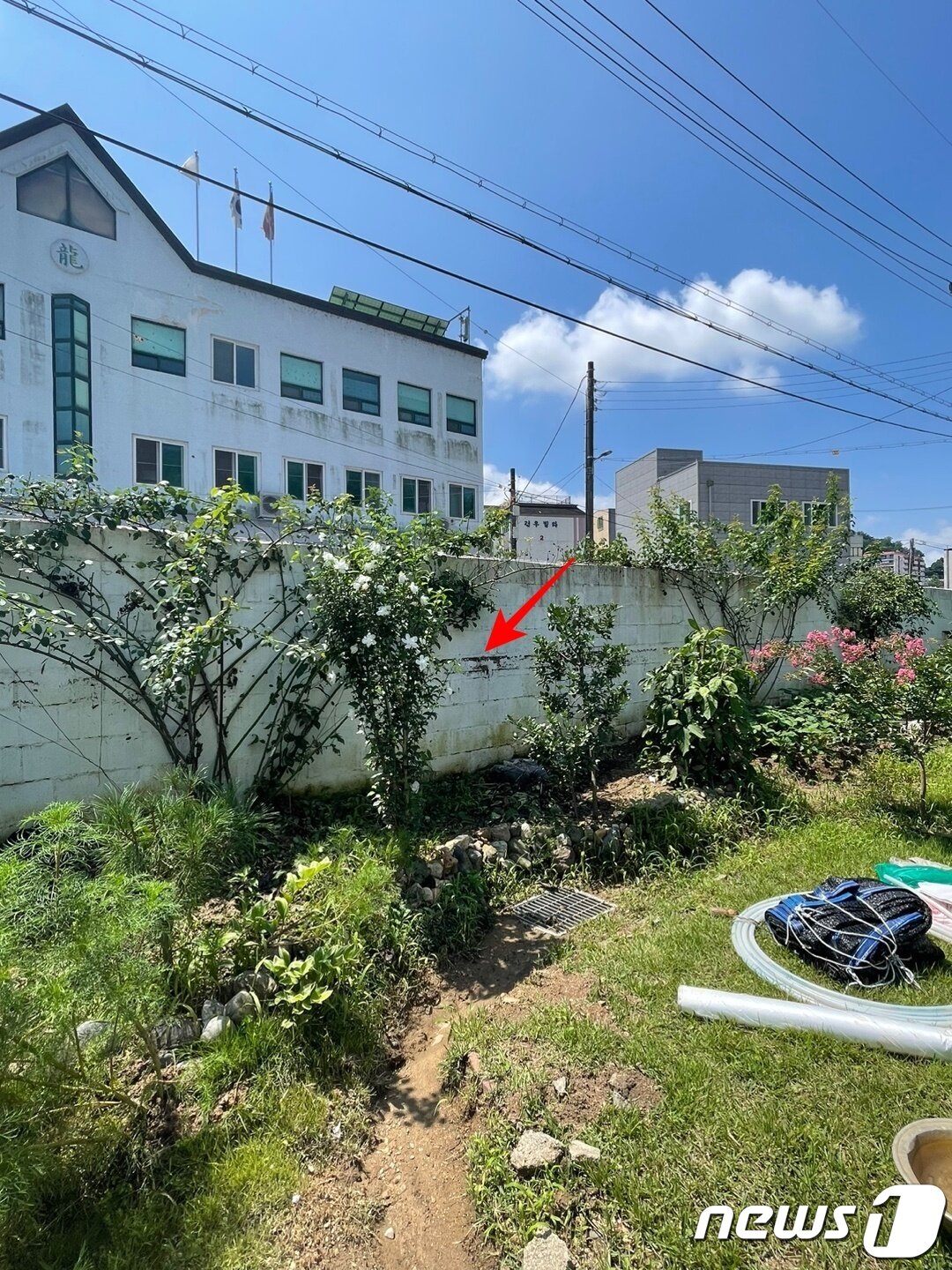 본문 이미지 - 집중호우로 담벼락 절반까지 물이 찬 흔적. 2023.7.19/뉴스1 ⓒ News1 강태우 기자 