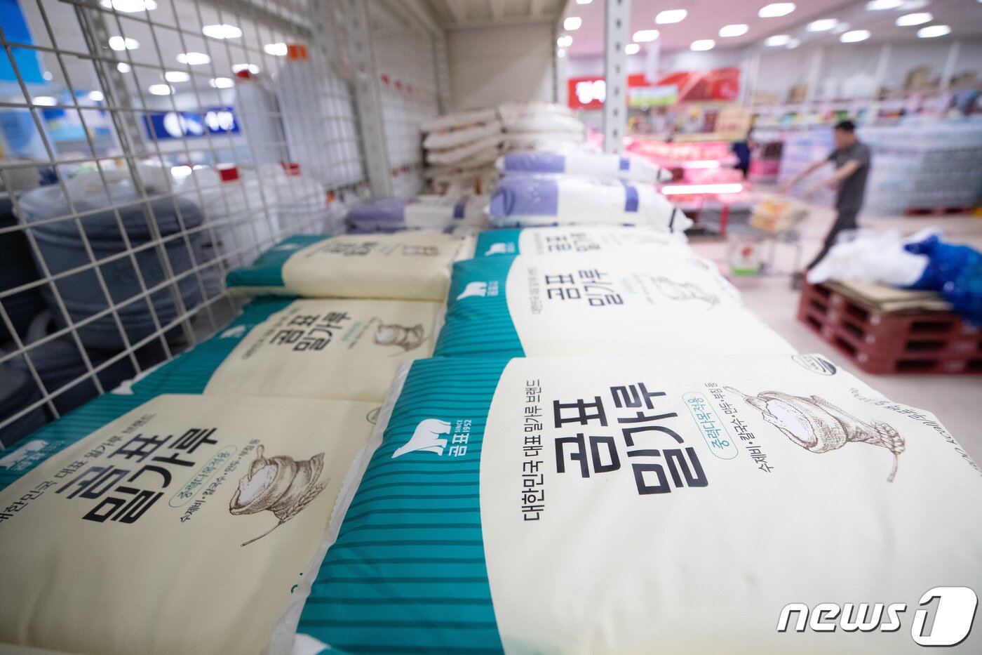 본문 이미지 - 서울의 한 대형마트에 진열된 대한제분 밀가루 제품의 모습. 2023.7.2/뉴스1 ⓒ News1 이재명 기자