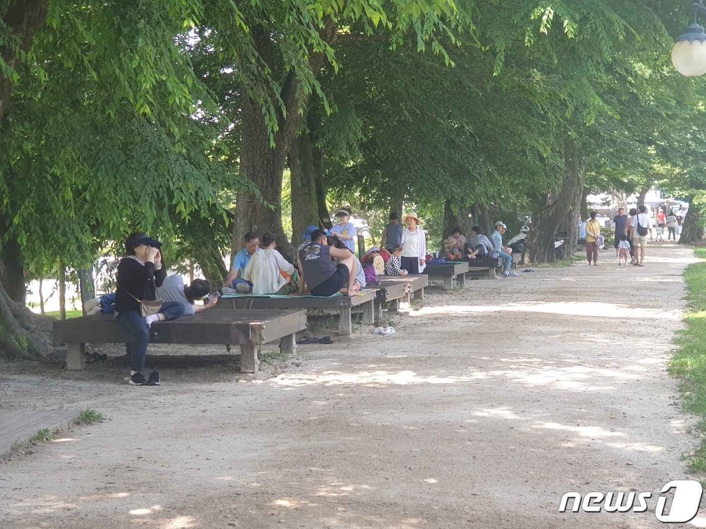 본문 이미지 - 2일 낮 12시쯤 전남 담양군에 위치한 관방제림에서 시민과 관광객들이 휴식을 취하고 있다. 2023.7.2/뉴스1 ⓒ News1 전원 기자
