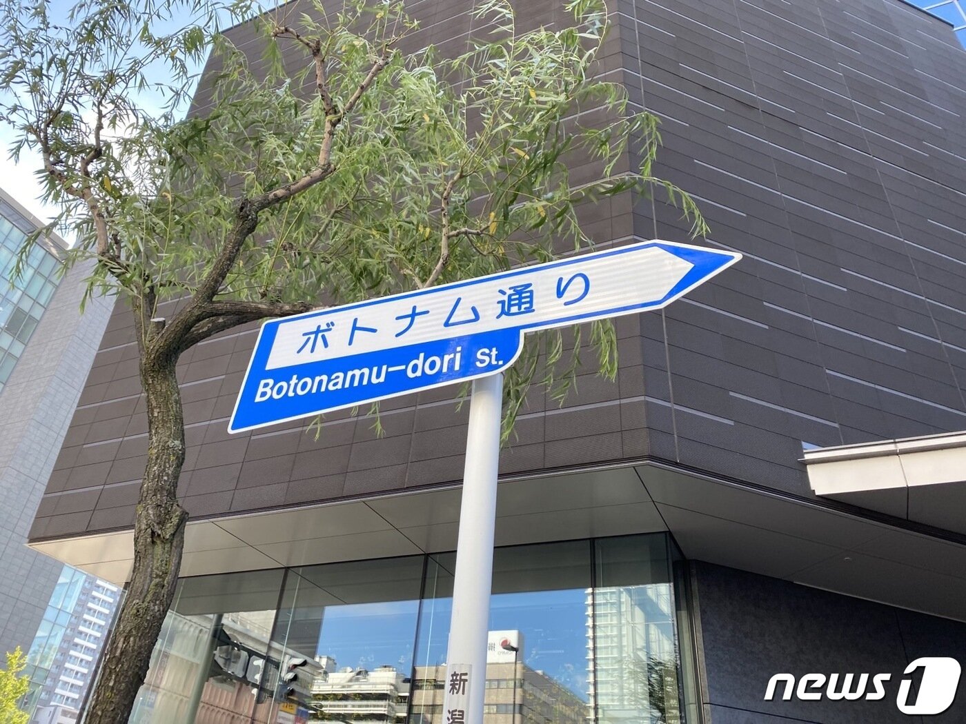 본문 이미지 - 1959년 첫 북송선이 떠난 일본 니가타항 인근 거리에는 재일교포북송사업을 기념하기 위한 버드나무 거리가 조성됐다. 세월이 흐르면서 나무가 있던 자리는 콘크리트로 메워지거나 방치되는 중이다. 가와사키 에이코 대표와 리소라 국장은 신버드나무회 회원 150명과 함께 나무를 다시 심고 거리를 재단장해 재일교포북송사업 문제와 진실을 알리는 '니가타 버드나무 거리 리뉴얼 프로젝트'를 진행 중이다. (리소라씨 제공)