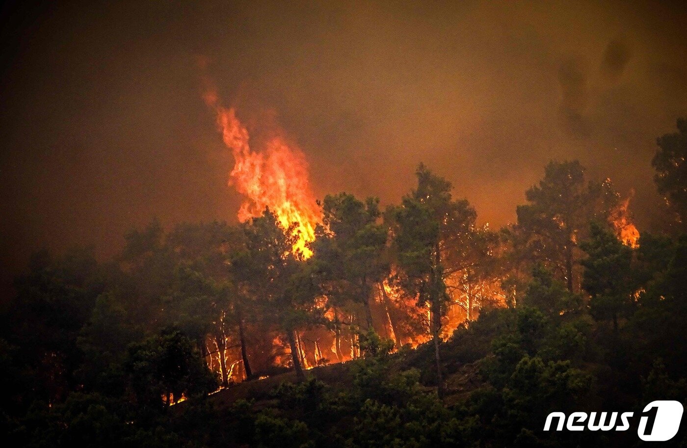 본문 이미지 - 22일 (현지시간) 그리스 로도스 섬의 키오타리에서 산불이 발생해 소나무 숲을 불 태우고 있다. 2023.7.22. ⓒ AFP=뉴스1 ⓒ News1 우동명 기자
