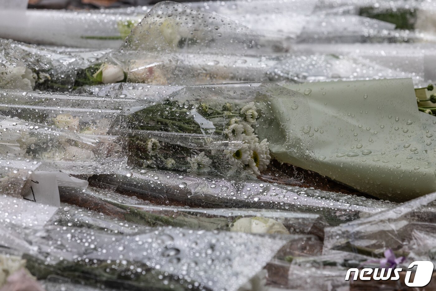 본문 이미지 - 23일 오전 서울 관악구 신림동 '묻지마 흉기 난동' 사건 현장에 조화가 놓여 있다. 2023.7.23/뉴스1 ⓒ News1 이재명 기자