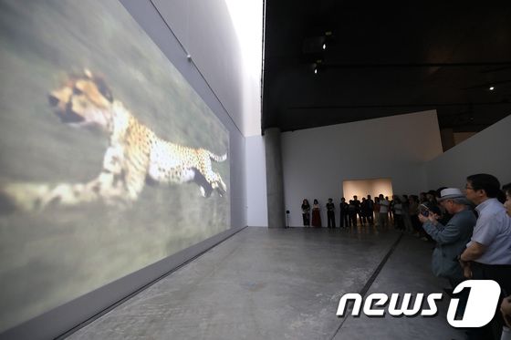 서울 용산구 리움미술관에서 열리는 김범 개인전 '바위가 되는 법' / 뉴스1 © News1 김민지 기자