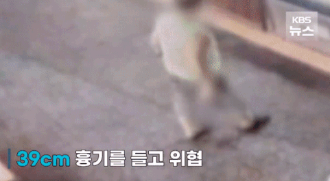 본문 이미지 - (KBS 갈무리)