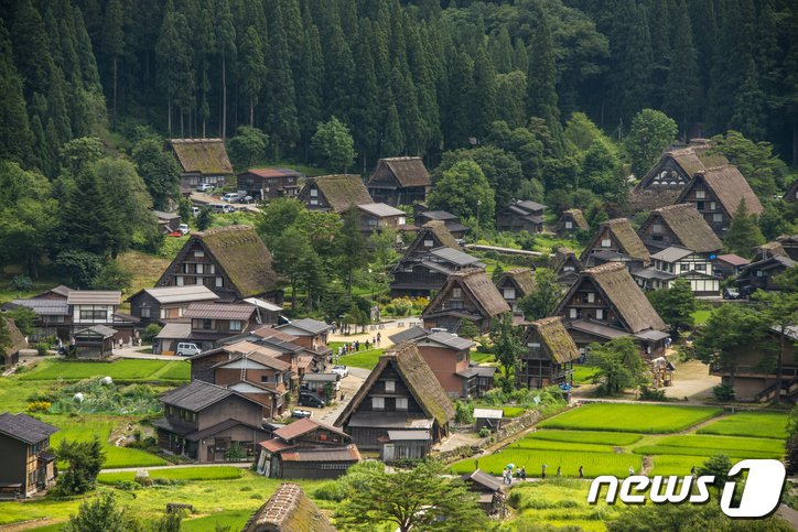 본문 이미지 - 전통 가옥이 자리한 시라카와고(호텔스컴바인&카약 제공)