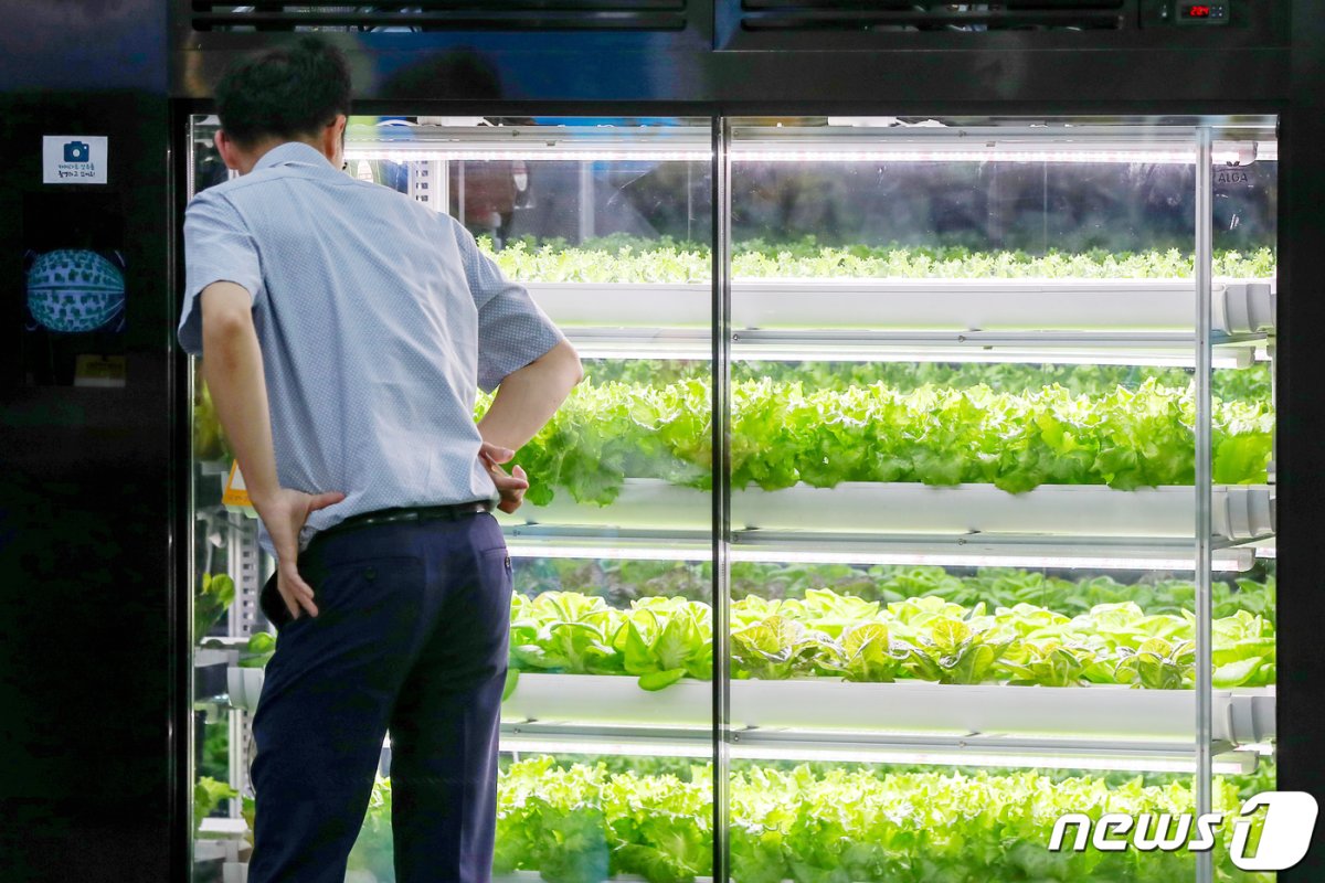 '2023 농식품 테크 스타트업 창업 박람회(AFRO 2023)'/뉴스1 © News1 민경석 기자