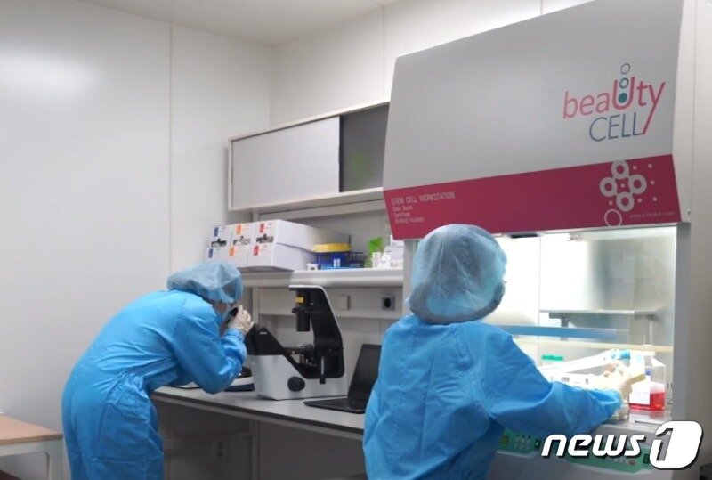 본문 이미지 - VIP동물의료센터 성북점에 설치된 무균 실험실(VIP동물의료센터 제공) ⓒ 뉴스1