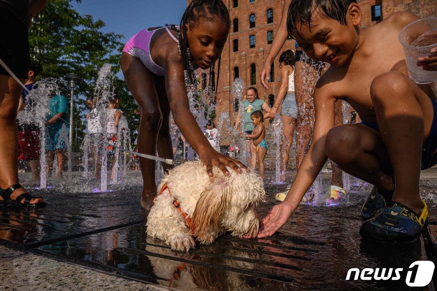 본문 이미지 - 26일 미국 뉴욕에서 폭염을 피해 아이들이 개와 함께 분수에서 놀고 있다. 2023.07.26/ ⓒ AFP=뉴스1 ⓒ News1 윤주영 기자