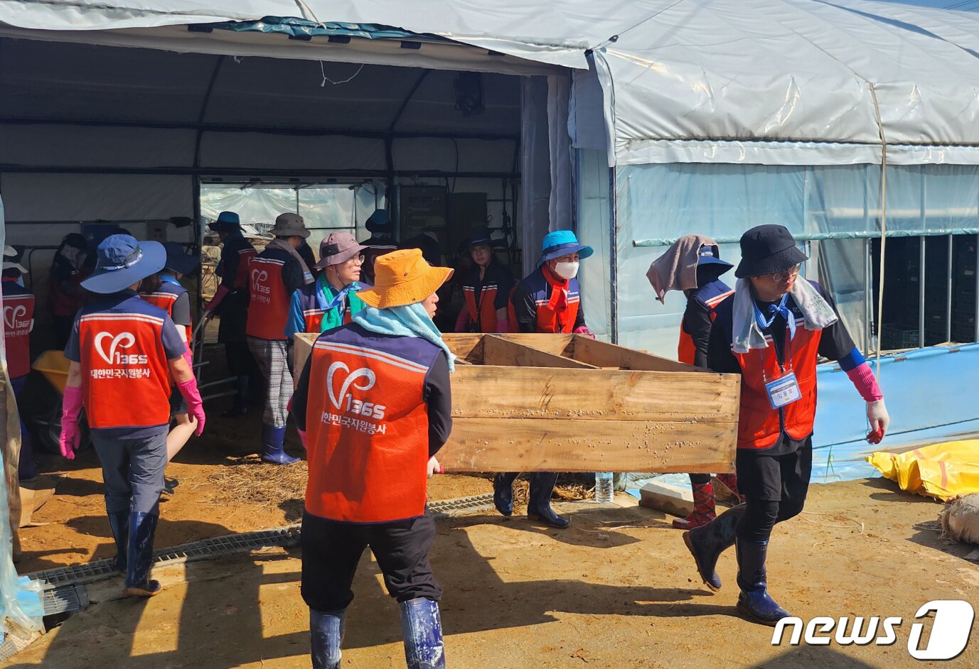 본문 이미지 - 광주시와 구 재난자원봉사자들이 27일 집중호우로 피해를 입은 충남 논산시 부적면 아호리 일대 비닐하우스에서 수해 복구 활동을 펼치고 있다.(광주시자원봉사센터 제공)2023.7.27/뉴스1 ⓒ News1 박준배 기자