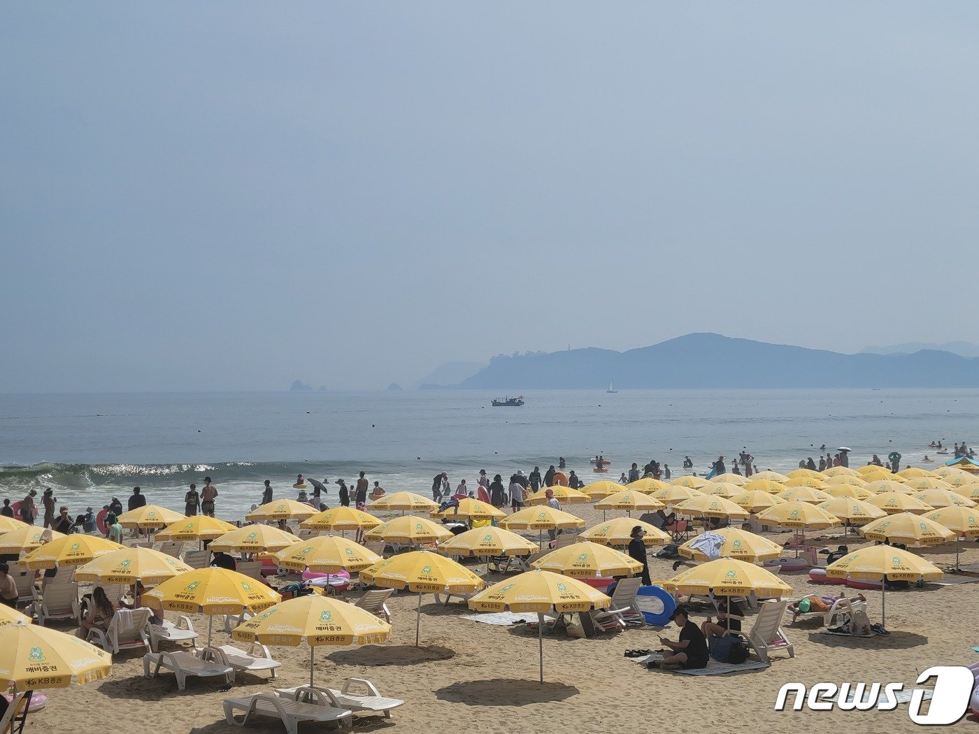 본문 이미지 - 폭염경보가 발효 중인 28일 오후 부산 해운대구 해수욕장에 파라솔이 빼곡히 들어서 있다. 2023.7.28/뉴스1 ⓒ News1 조아서 기자