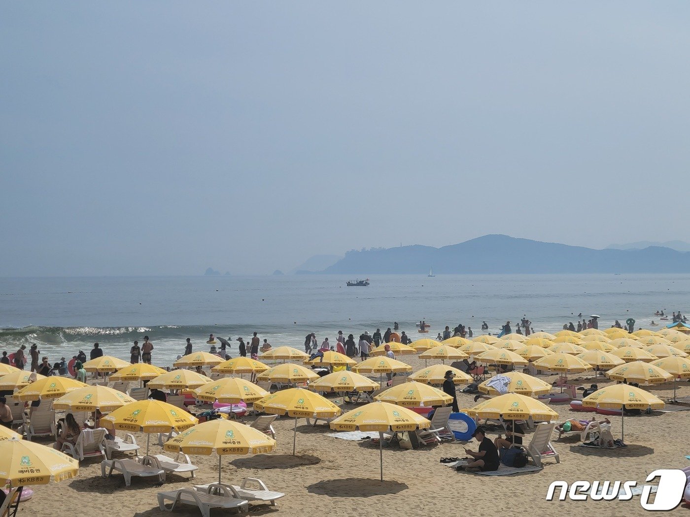 폭염경보가 발효 중인 28일 오후 부산 해운대구 해수욕장에 파라솔이 빼곡히 들어서 있다. 2023.7.28/뉴스1 ⓒ News1 조아서 기자