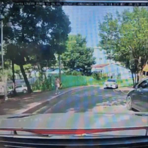 본문 이미지 - 보배드림 인스타그램 갈무리