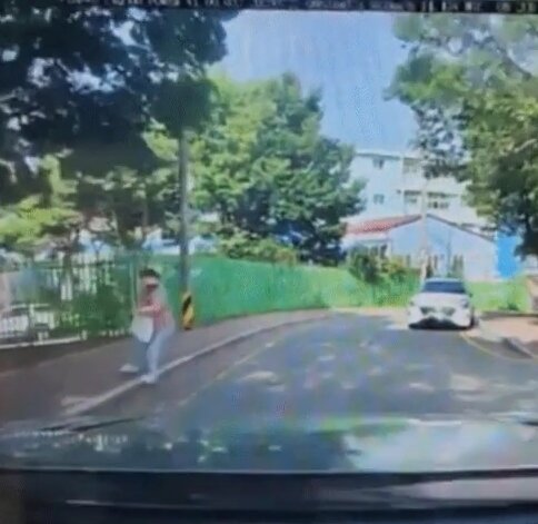 본문 이미지 - 보배드림 인스타그램 갈무리