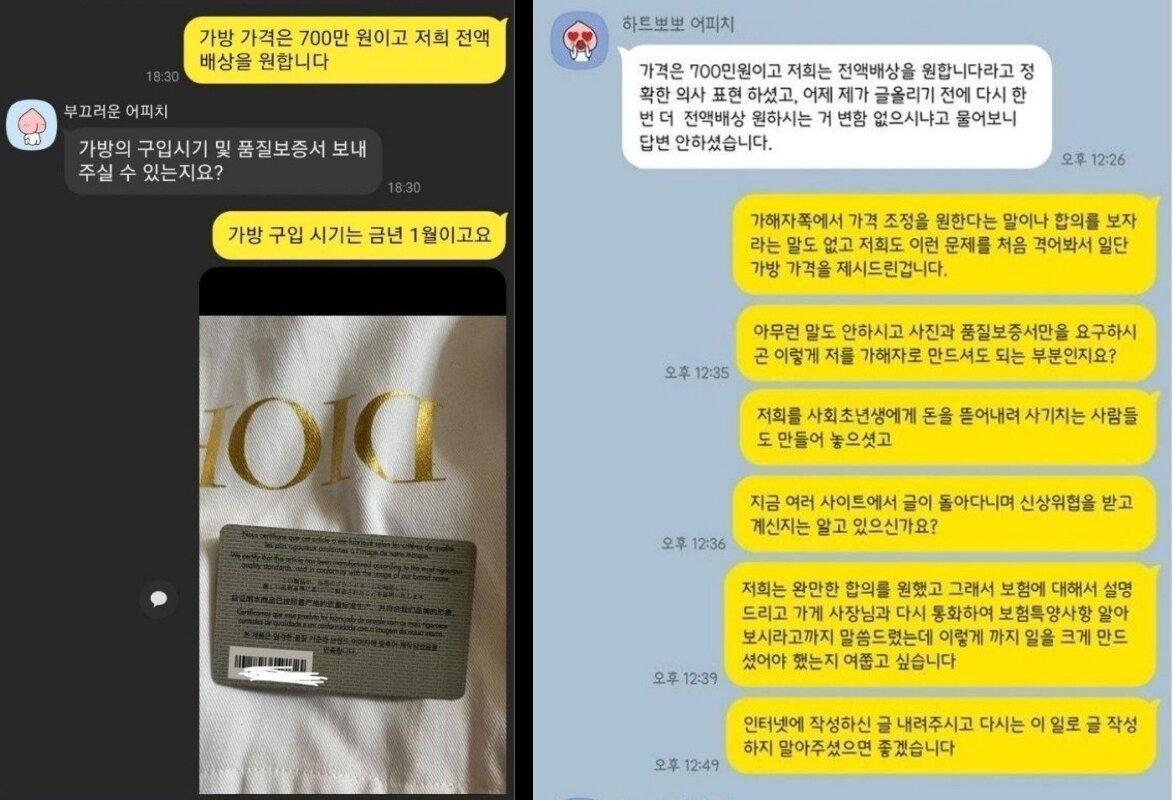 본문 이미지 - A씨와 가방 주인이 나눈 메시지. (온라인 커뮤니티 갈무리)