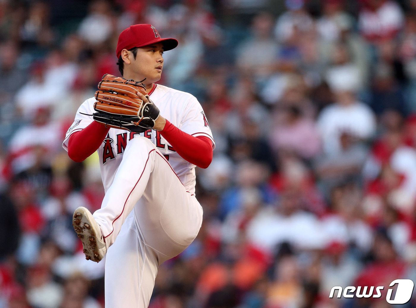 본문 이미지 - LA 에인절스의 오타니 쇼헤이. ⓒ AFP=뉴스1