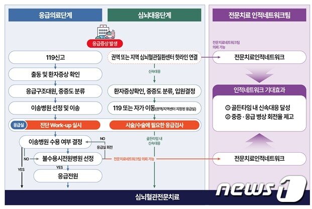 본문 이미지 - 심뇌혈관 전문치료 인적네트워크팀 구성 모식도(보건복지부 제공)