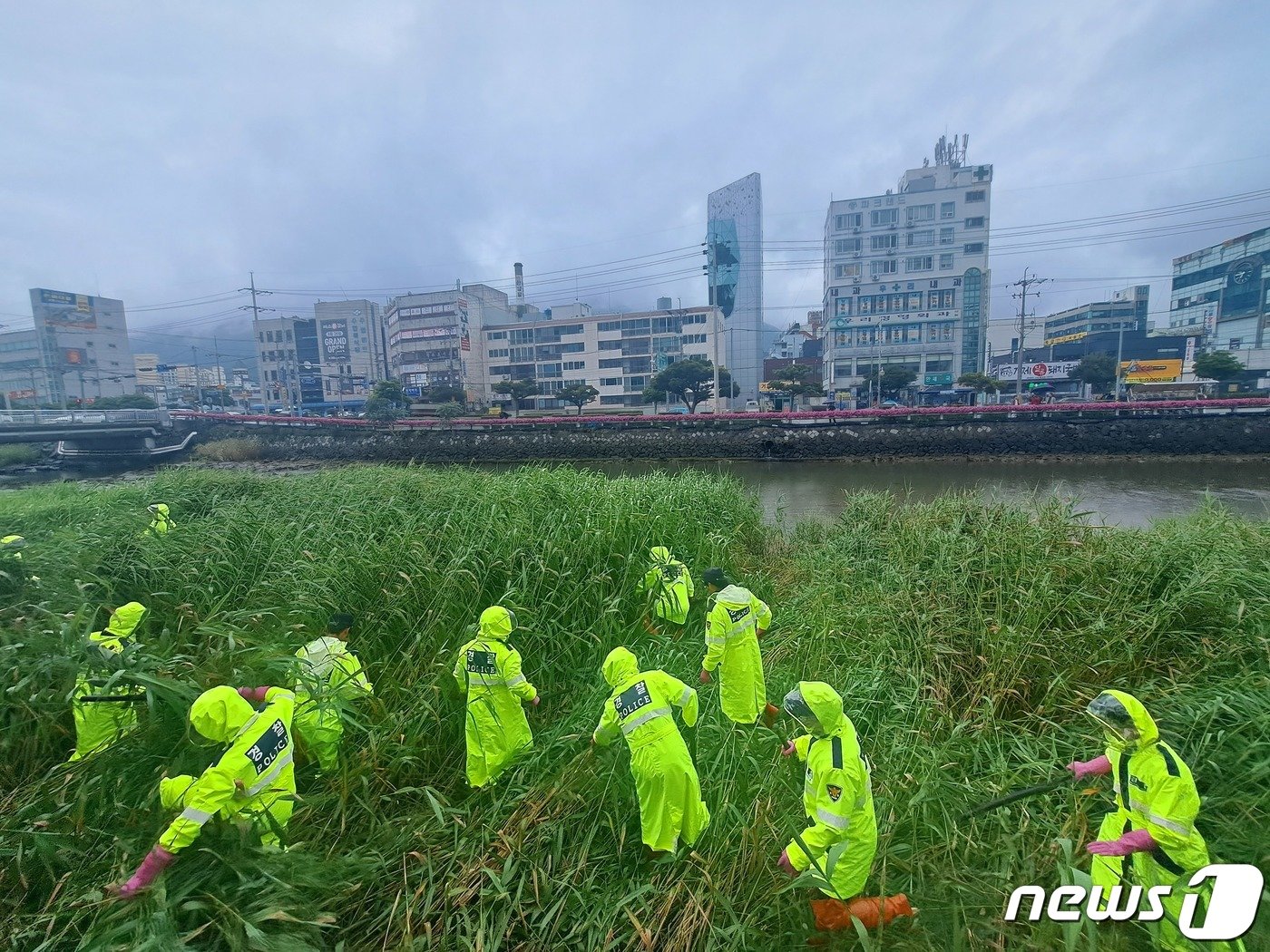 본문 이미지 - 경찰이 지난 7월4일 경남 거제시 고현천 주변에서 거제 영아 암매장 사건과 관련해 영아 시신을 수색하고 있다.2023.7.4/뉴스1 ⓒ News1 강미영 기자