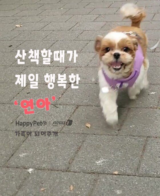 본문 이미지 -  